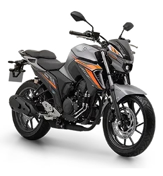 Fazer FZ25
