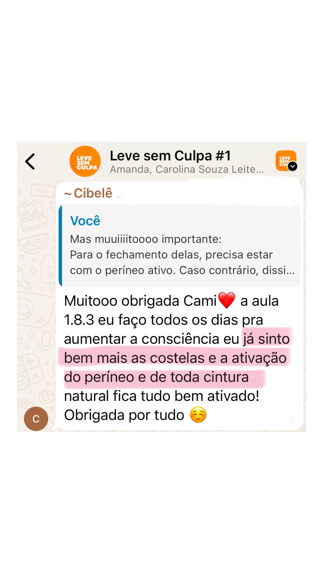 Imagem 116