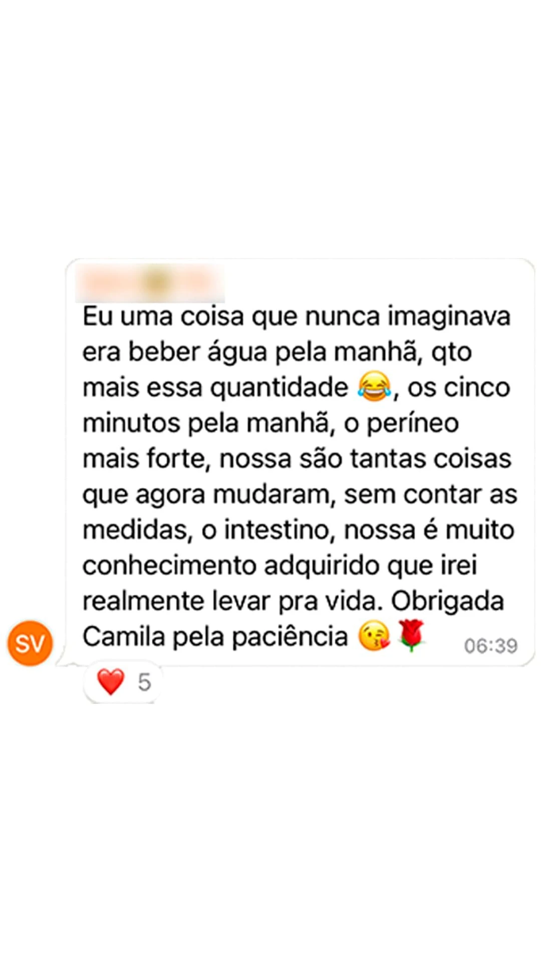 Imagem 6