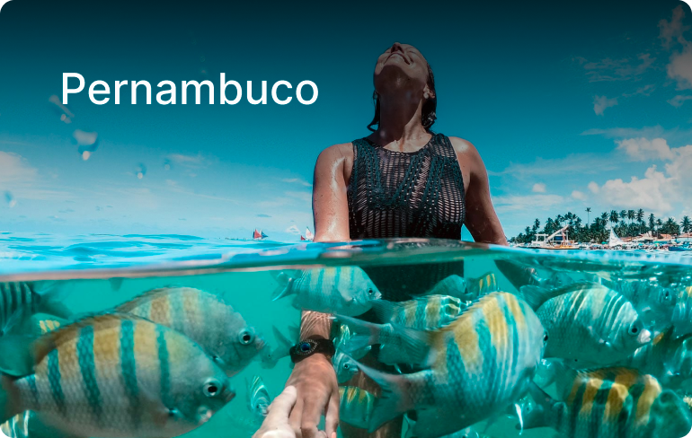 Passeios Pernambuco