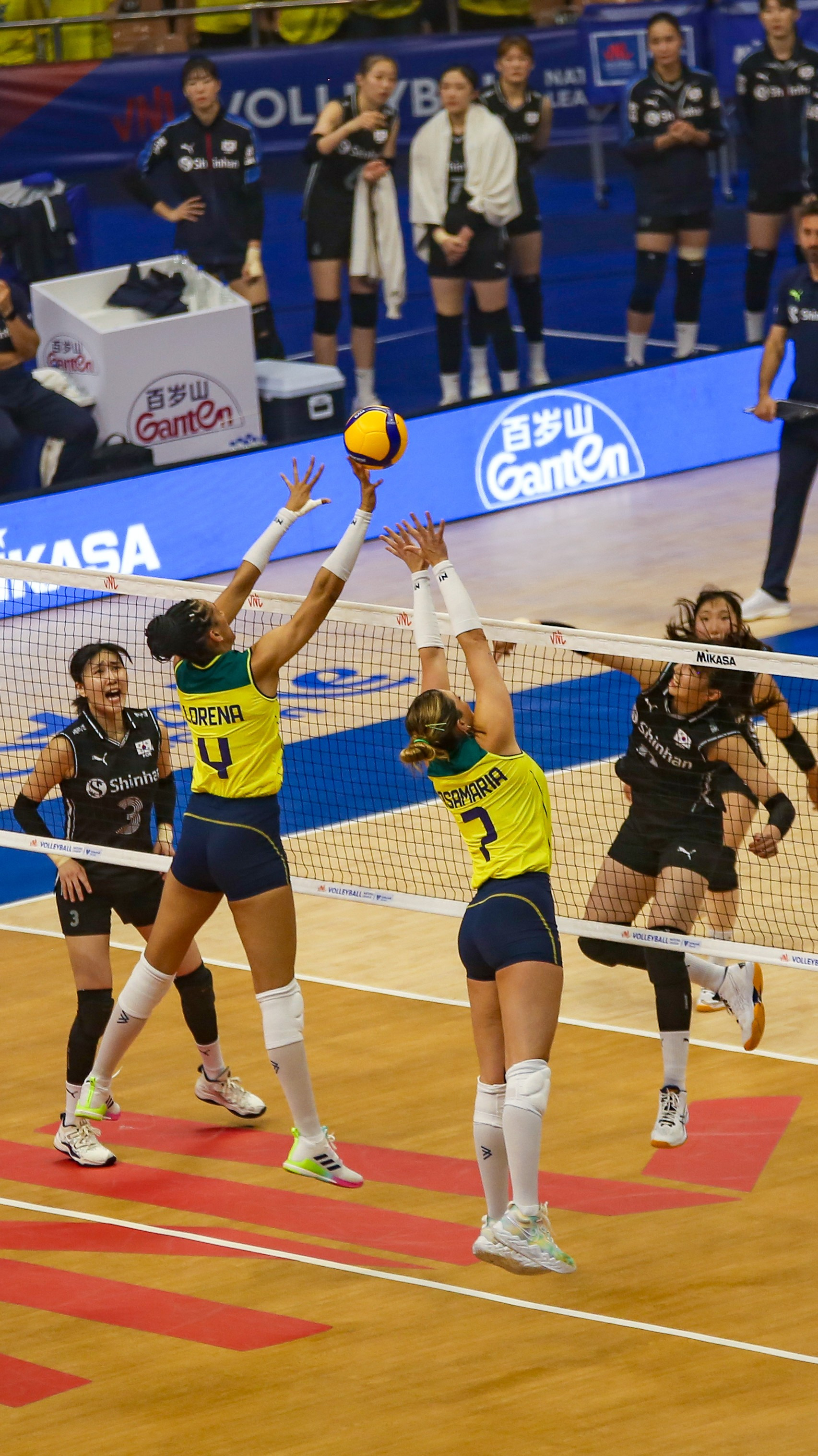 VNL 2023 - BRA x COR